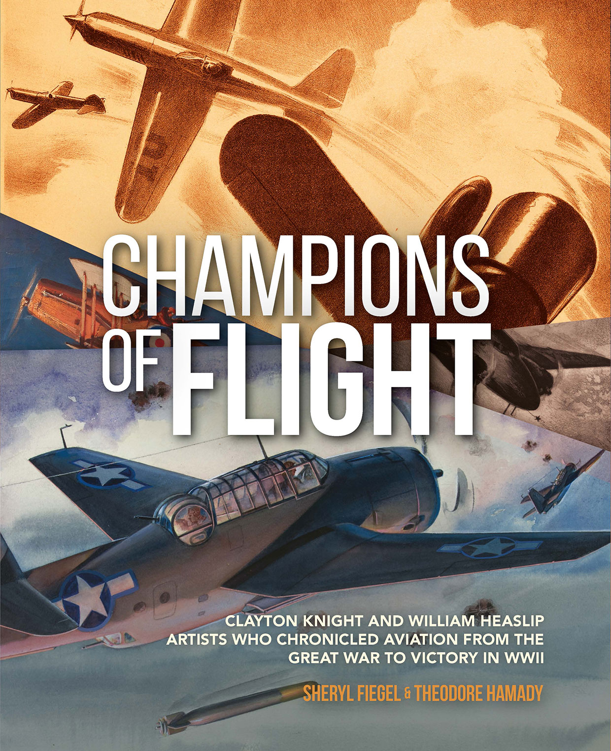 Champions of Flight book cover